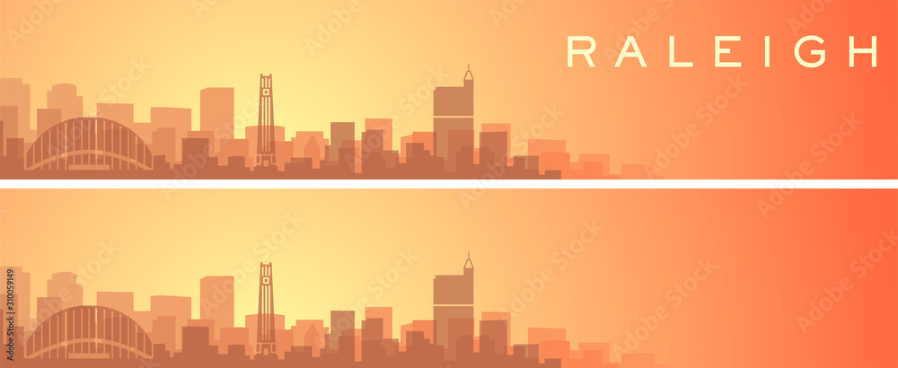 Raleigh Beautiful Skyline Scenery Banner