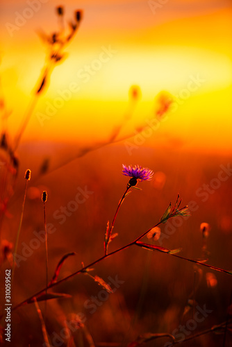 Red sky at sunset