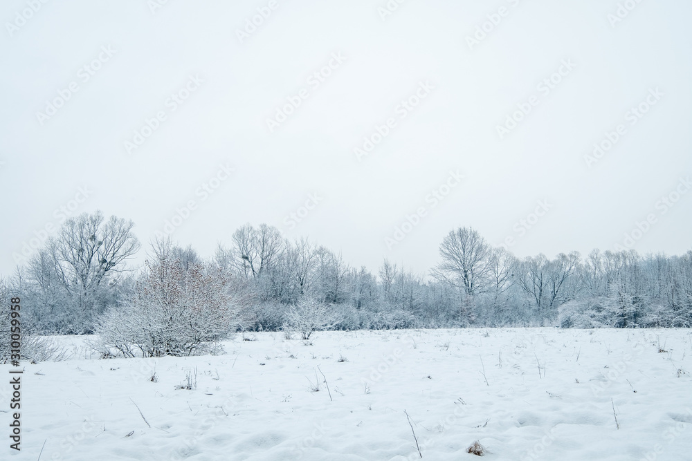 Frozen winter meadow surrounded by forest. Frozen winter meadow surrounded by forest.