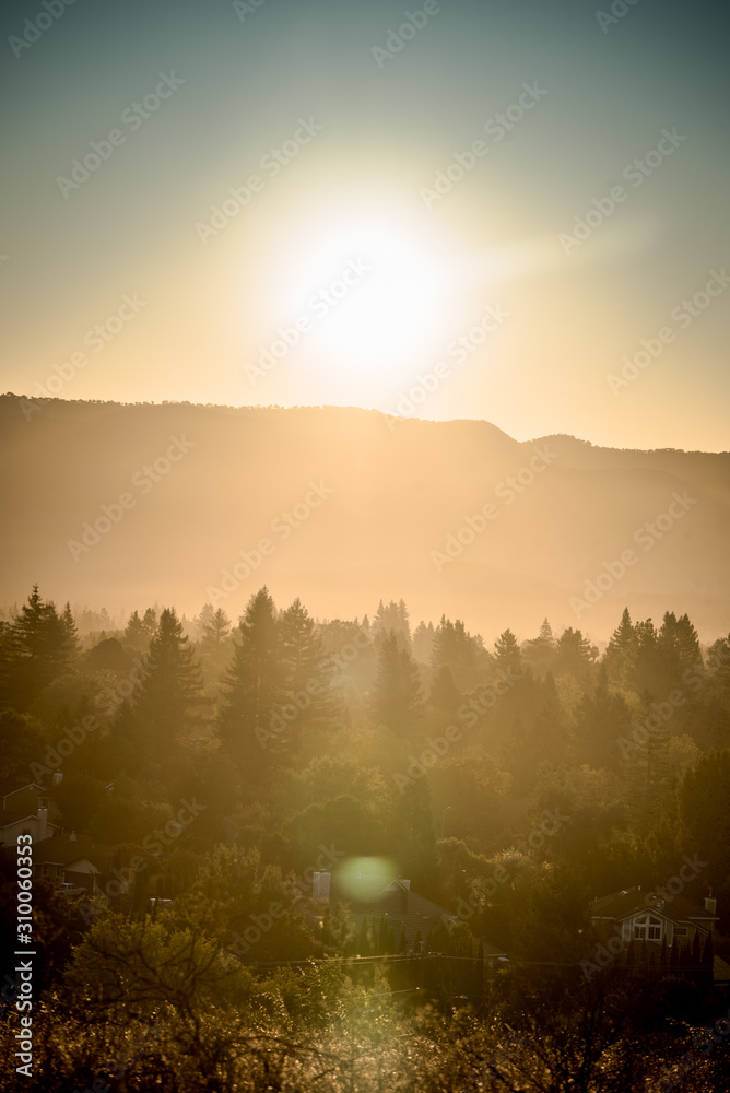 sunrise over foggy mountain valley pine trees sunrise over foggy mountain valley pine trees