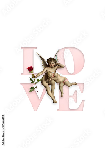 Valentines day love cupid image holding rose, poster size, white and pink
