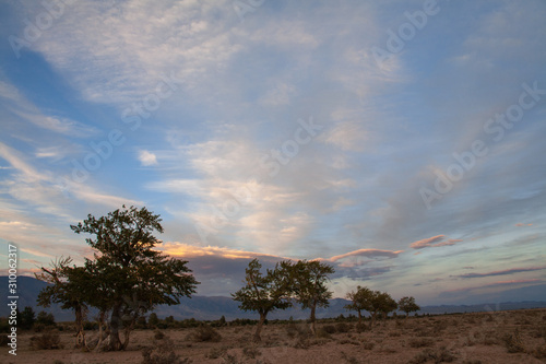 The landscape of the mongolian steppe