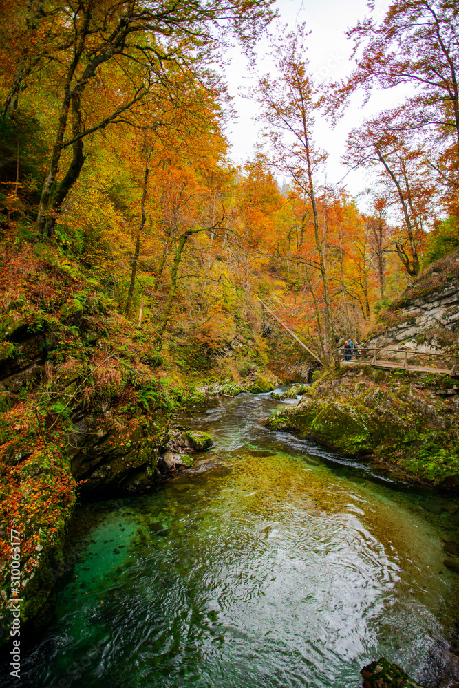 Autumn landscape in the Vintgar cannyon, Slovenia