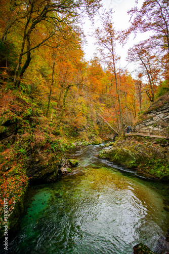 Autumn landscape in the Vintgar cannyon, Slovenia