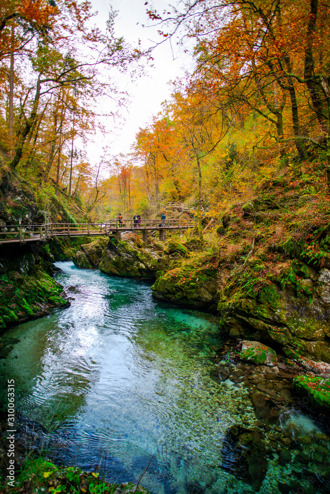 Autumn landscape in the Vintgar cannyon, Slovenia Autumn landscape in the Vintgar cannyon, Slovenia