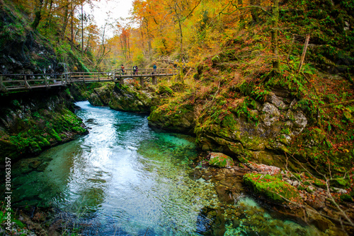 Autumn landscape in the Vintgar cannyon, Slovenia