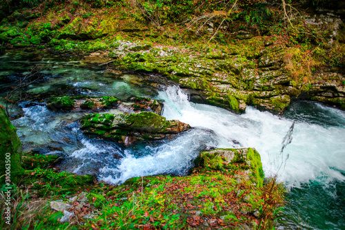 Autumn landscape in the Vintgar cannyon, Slovenia photo