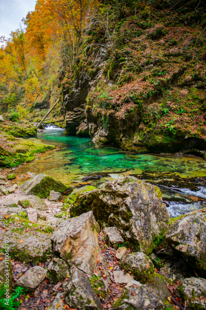 Autumn landscape in the Vintgar cannyon, Slovenia Autumn landscape in the Vintgar cannyon, Slovenia