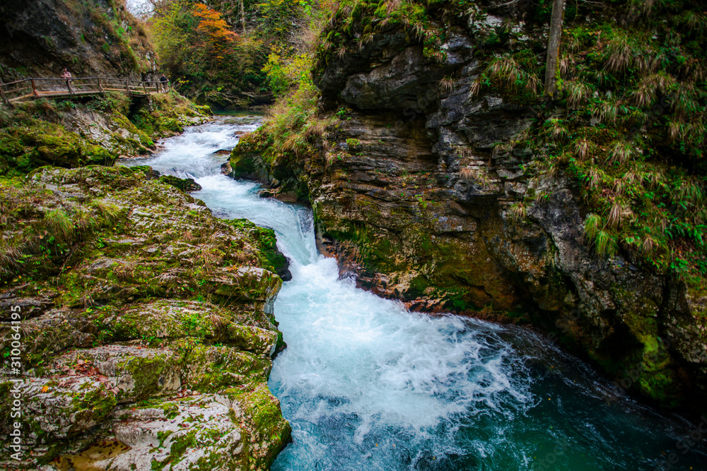 Autumn landscape in the Vintgar cannyon, Slovenia Autumn landscape in the Vintgar cannyon, Slovenia