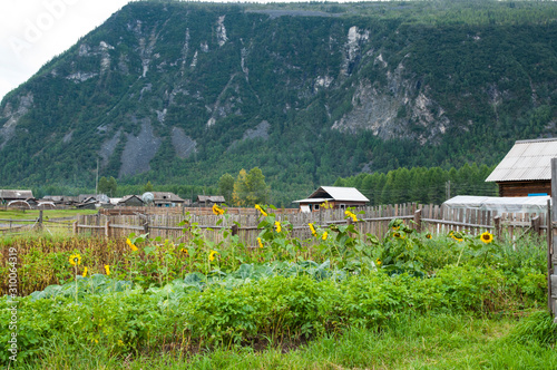Village in Siberia, Tofalaria