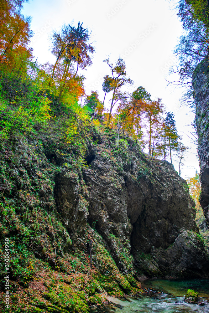 Autumn landscape in the Vintgar cannyon, Slovenia Autumn landscape in the Vintgar cannyon, Slovenia