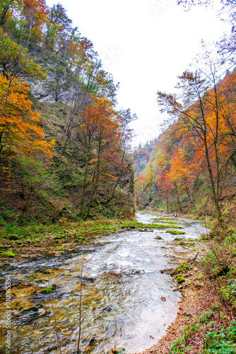 Autumn landscape in the Vintgar cannyon  Slovenia