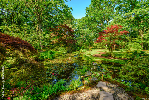 Beautiful traditional Japanese garden in springtime, in park Clingendael, The Hague, Netherlands © FotoCorn