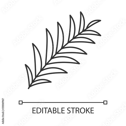 Palm branch linear icon. Tropical tree leafs. Symbol of victory, peace. Easter sign. Spring religious holiday. Thin line illustration. Contour symbol. Vector isolated outline drawing. Editable stroke