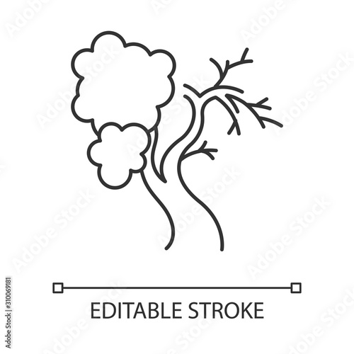 Fig tree linear icon. Old half dead tree. Healthy leaved part and dying part symbol. Biblical plant of life. Thin line illustration. Contour symbol. Vector isolated outline drawing. Editable stroke