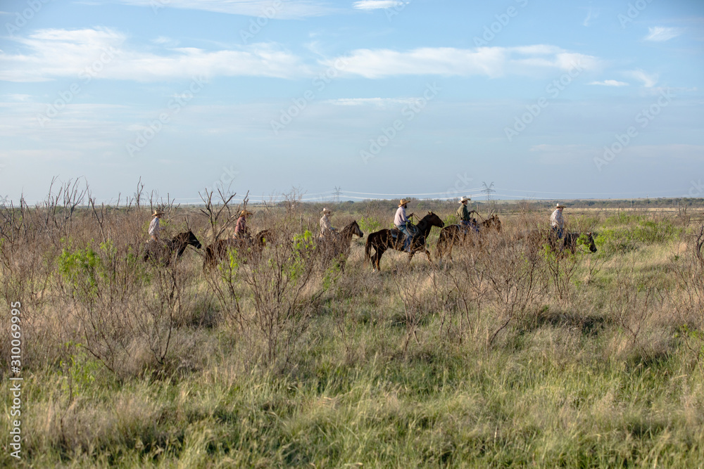 Fototapeta premium Texas Cowboys