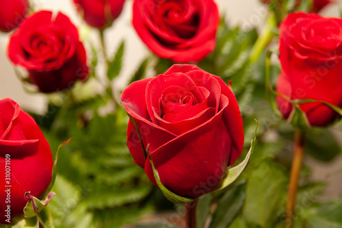 Bouquet of fresh roses  flower bright background