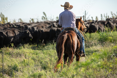 Canvastavla Working Cowboy