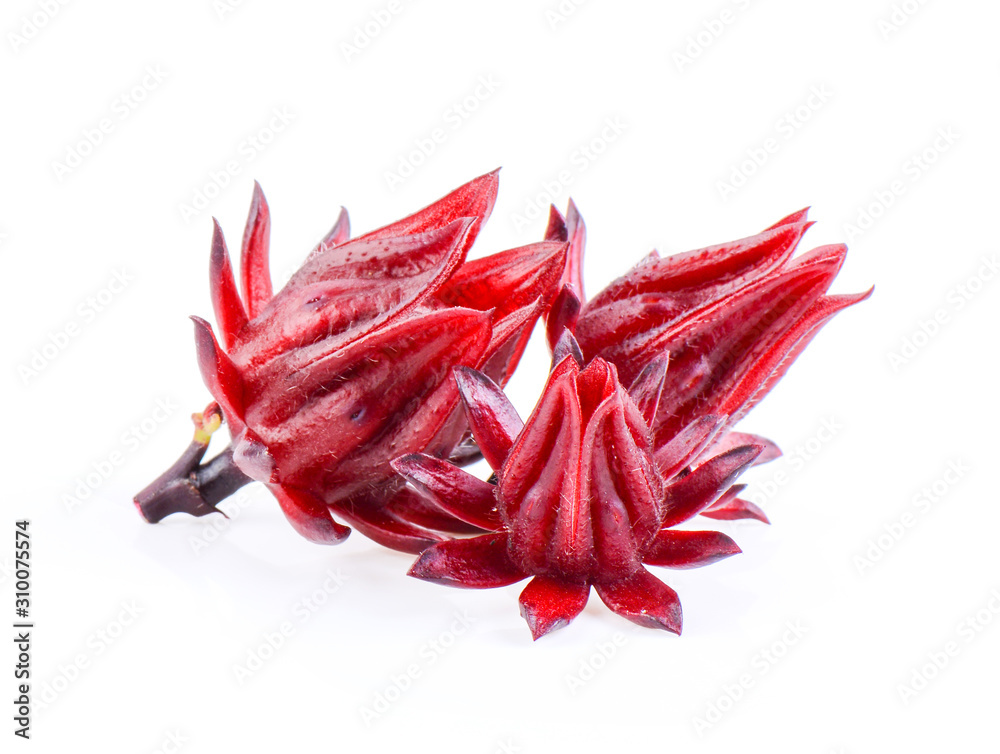 Roselle fruits, isolated on white background Roselle fruits, isolated on white background