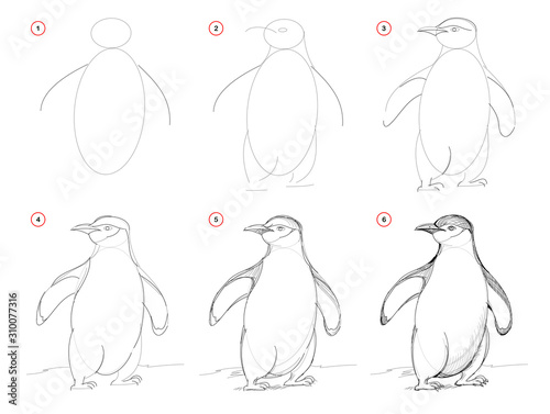How to draw from nature sketch of cute penguin. Creation step by step pencil drawing. Educational page for artists. School textbook for developing artistic skills. Hand-drawn vector image.
