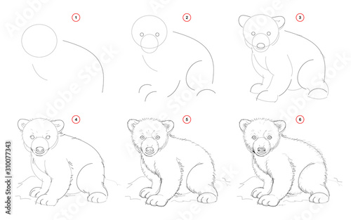 How to draw from nature sketch of white teddy bear. Creation step by step pencil drawing. Educational page for artists. School textbook for developing artistic skills. Hand-drawn vector image.