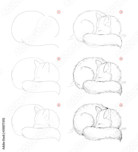 How to draw from nature sketch of cute sleeping fox. Creation step by step pencil drawing. Educational page for artists. School textbook for developing artistic skills. Hand-drawn vector image.