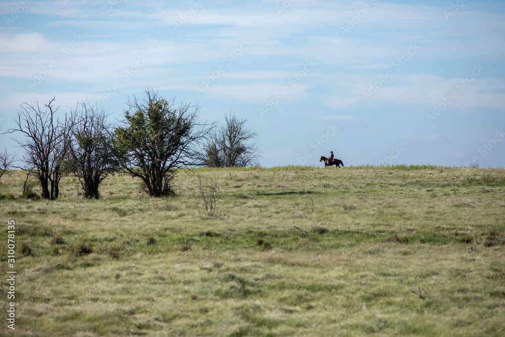 Lone Rider