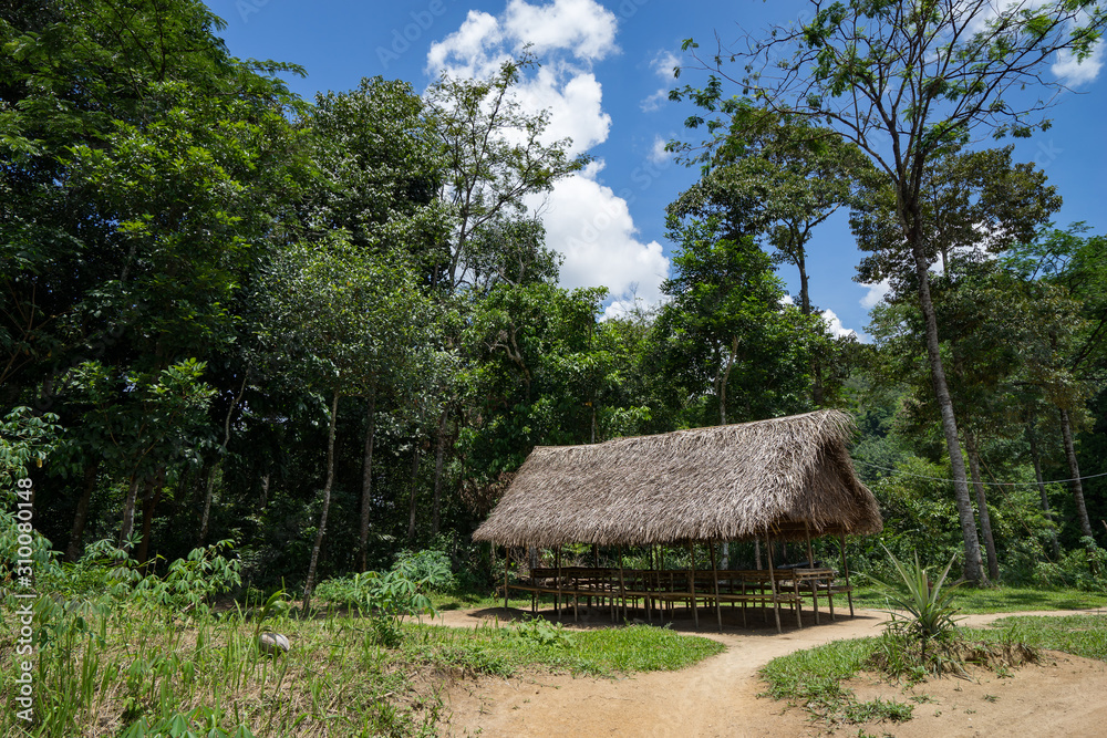 old wooden house in the forest