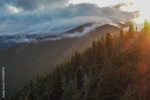Clouds rolling over forest at sunset in Olympic National Park