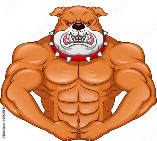 muscle english Bulldog Cartoon