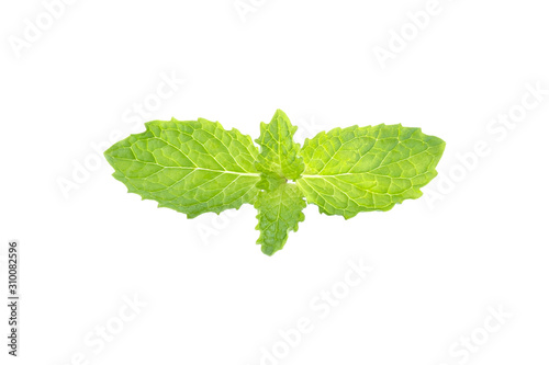 Spearmint in isolated white background clipping path