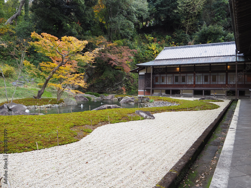 Fototapeta premium 北鎌倉 円覚寺 方丈庭園
