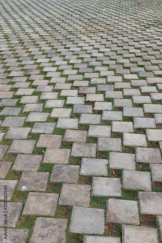 Stone paving green grass pathway
