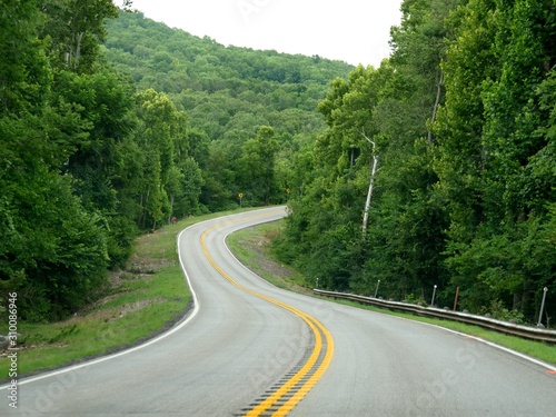 Scenic winding road bordered by lush trees in springtime