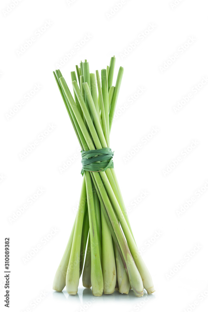 bundle lemon grass on white background. bundle lemon grass on white background.