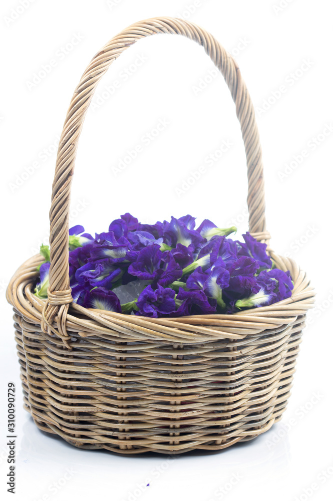 Group of Butterfly pea flower in basket Group of Butterfly pea flower in basket