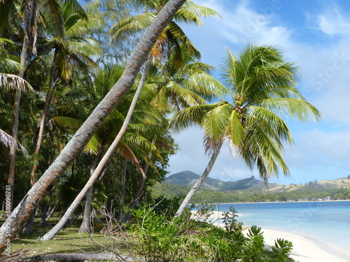 White sand beach with palm trees and island in the background