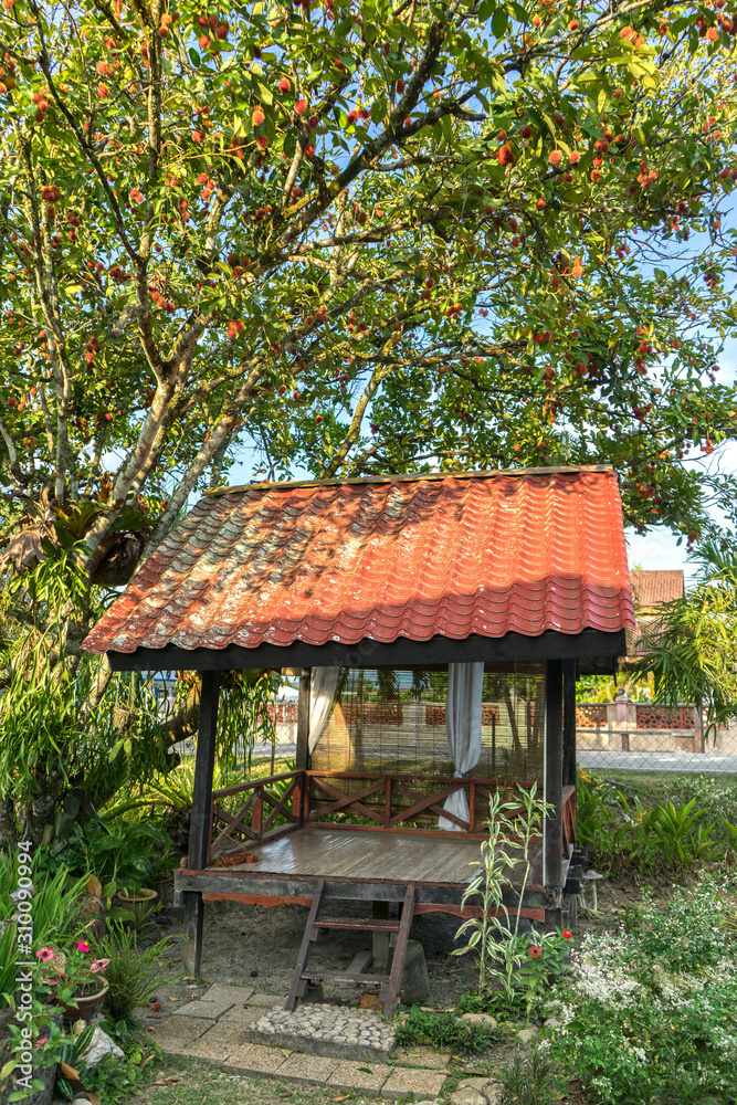 hut under the rambutan tree