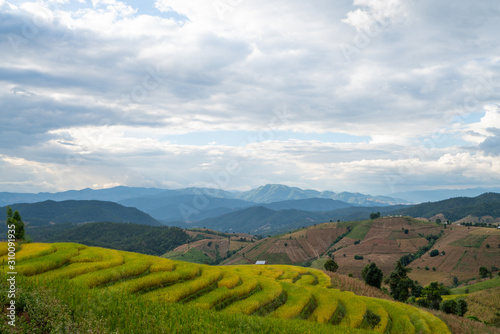 Beautiful rice terraces in Pa Bong Piang