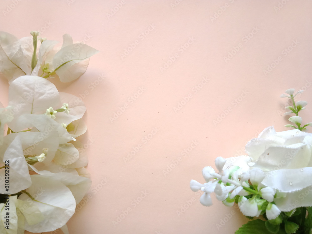 Bougainvillea flowers placed on pink paper