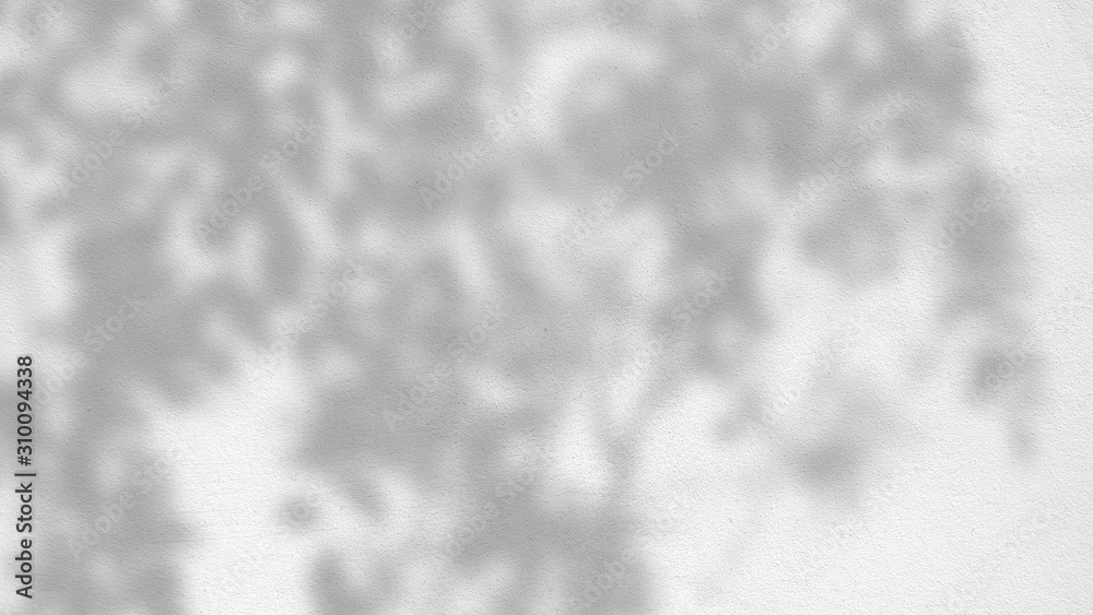 abstract background texture of shadows leaves on a concrete wall abstract background texture of shadows leaves on a concrete wall
