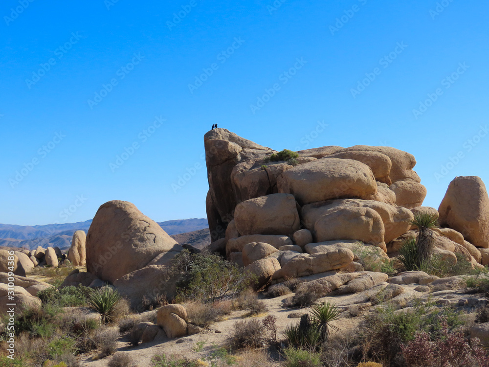 Joshua Tree National Park in California Joshua Tree National Park in California