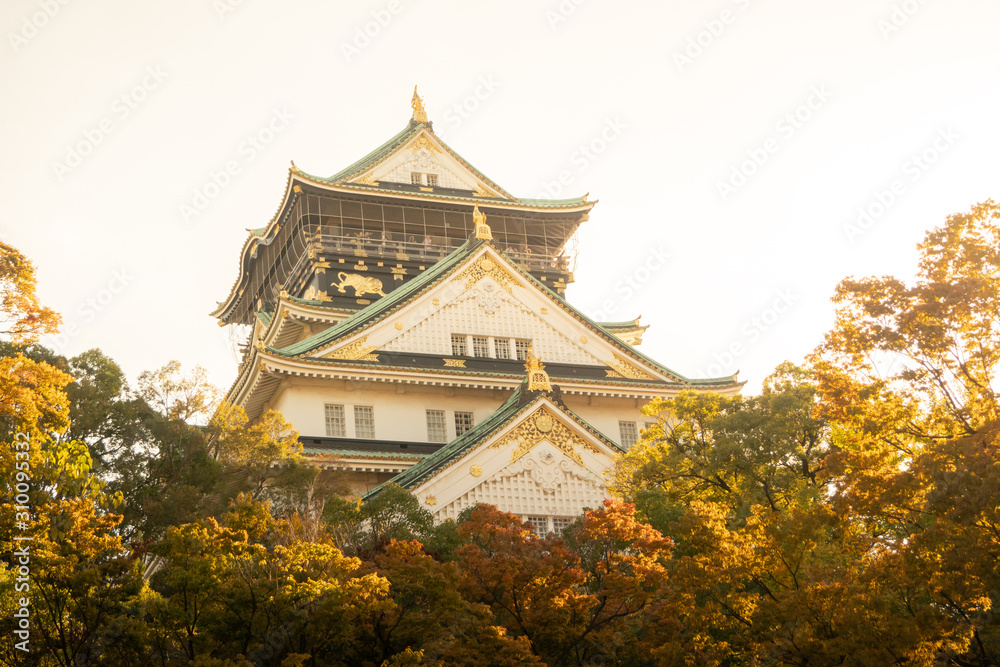 Osaka Castle in Osaka with autumn leaves. Japan Travel Concept Osaka Castle in Osaka with autumn leaves. Japan Travel Concept