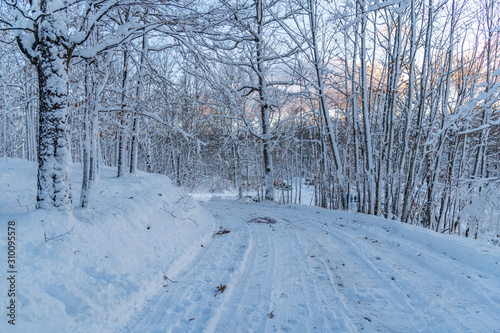  Winter driveway scene snow cleared landscape © Roxane Bay