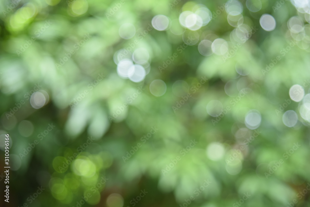 Obraz premium Background blur blur bokeh green white color caused by beautiful nature