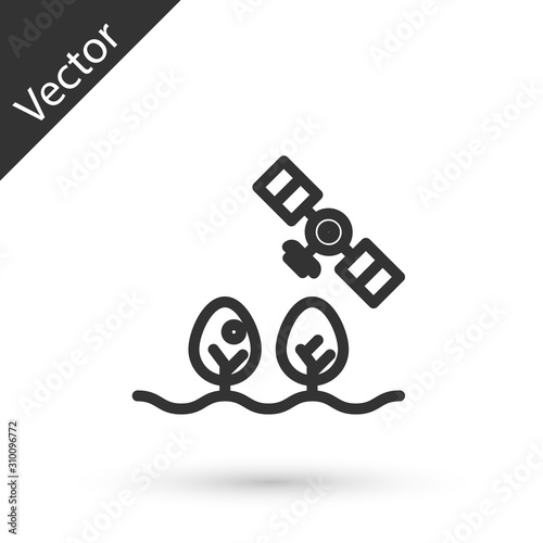 Grey line Smart farm with drone control and tree icon isolated on white background. Innovation technology for agricultural company. Vector Illustration