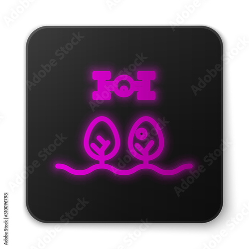Glowing neon line Smart farm with drone control and tree icon isolated on white background. Innovation technology for agricultural company. Black square button. Vector Illustration