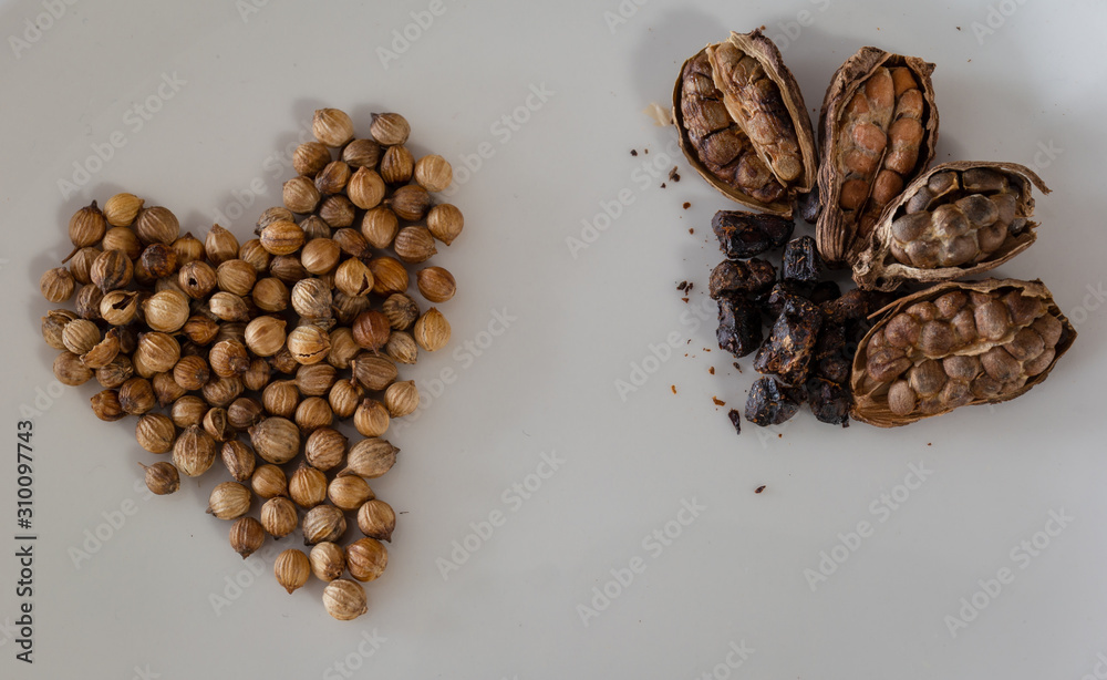 Coriander Seeds and Black Cardamom Pods on a White Plate Coriander Seeds and Black Cardamom Pods on a White Plate