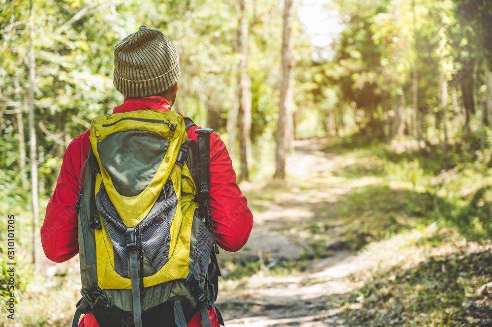 Hipster Hikers wear red raincoats, green backpacks, travel into the deep forest.