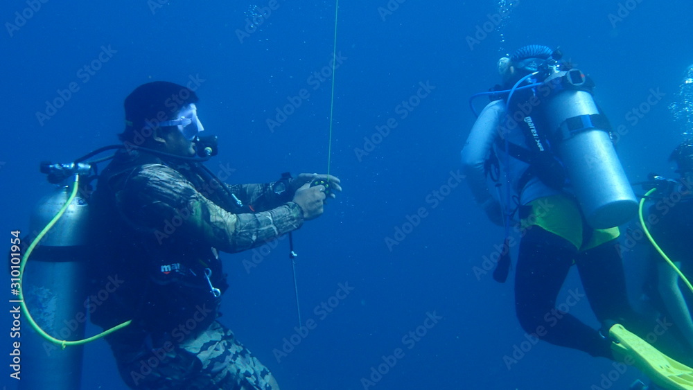 Naklejka premium diver and shark